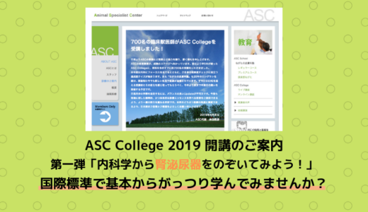 ASC College 2019 新規オンライン講座 第一弾がリリース！